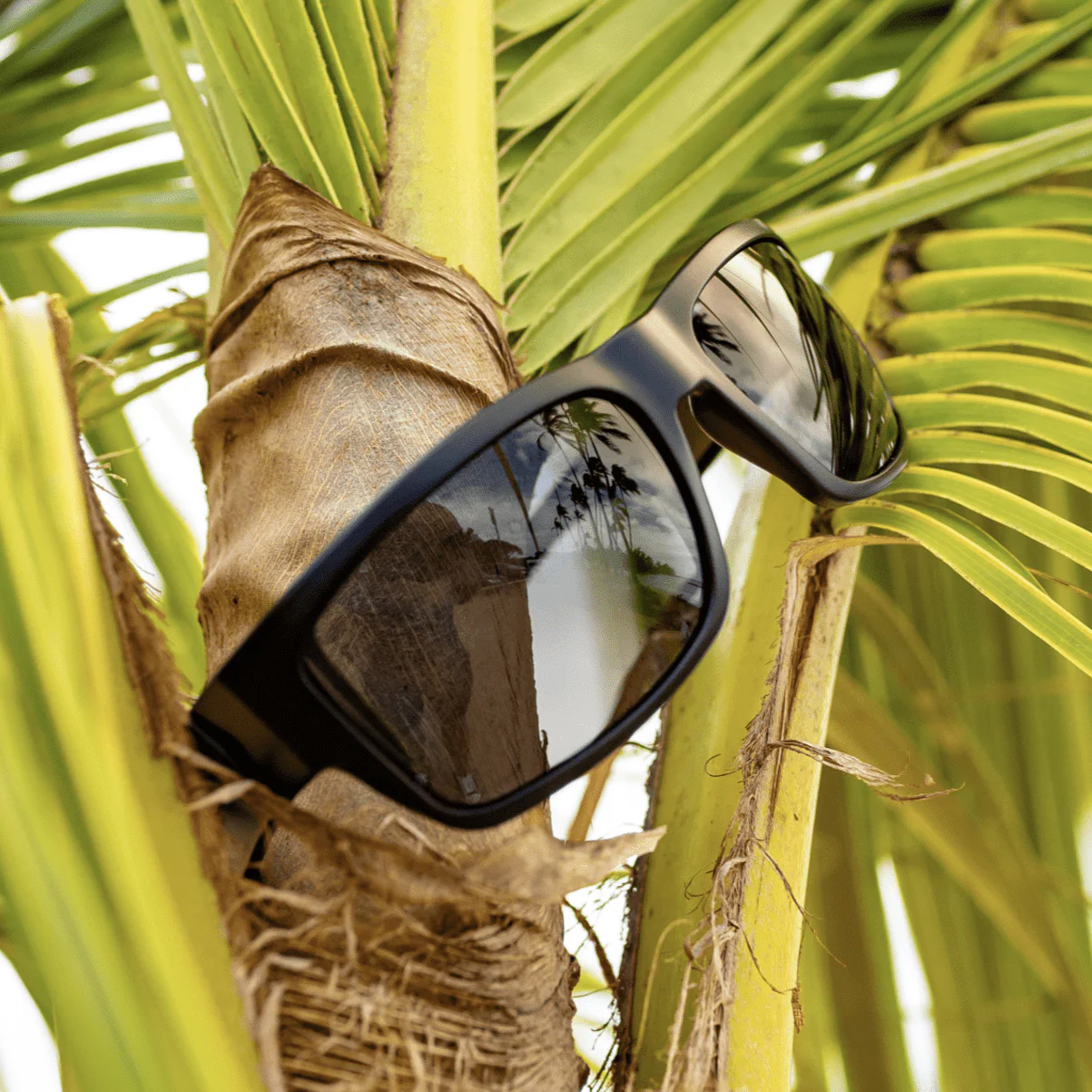 TIGER Safety - Polarized Smoke - Image 6