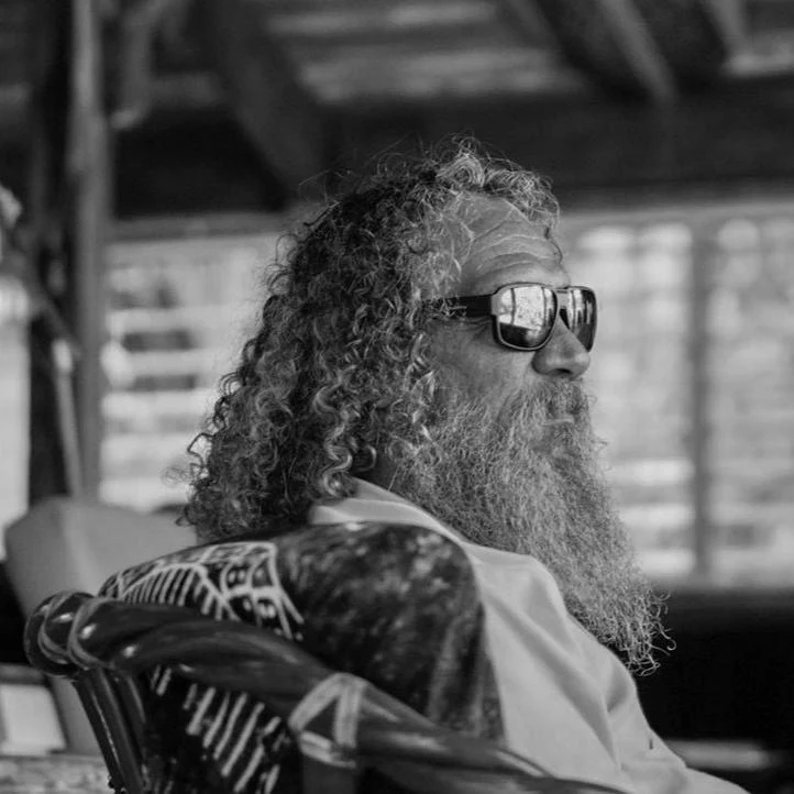 FRANCO - Polarized Tortoise - Image 4